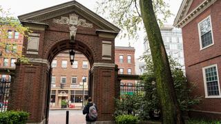Devastados y atónitos: estudiantes extranjeros de Harvard reaccionan a medida de Trump