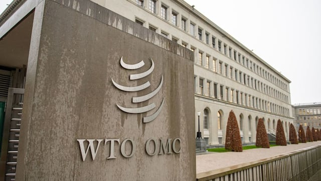 Qué dejó la reunión de la OMC sobre ecommerce, pesca y agricultura