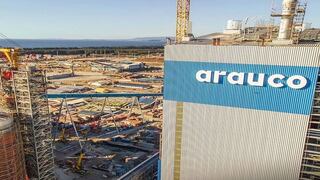 Chile: Arauco decide detener planta de celulosa y despedirá a trabajadores