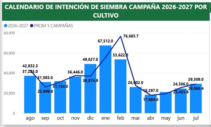 calendario de intención de siembra del arroz, para la campaña 2026-2027. Fuente: ENIS 2026-2027