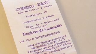 Uruguay comenzó a registrar consumidores de marihuana legal