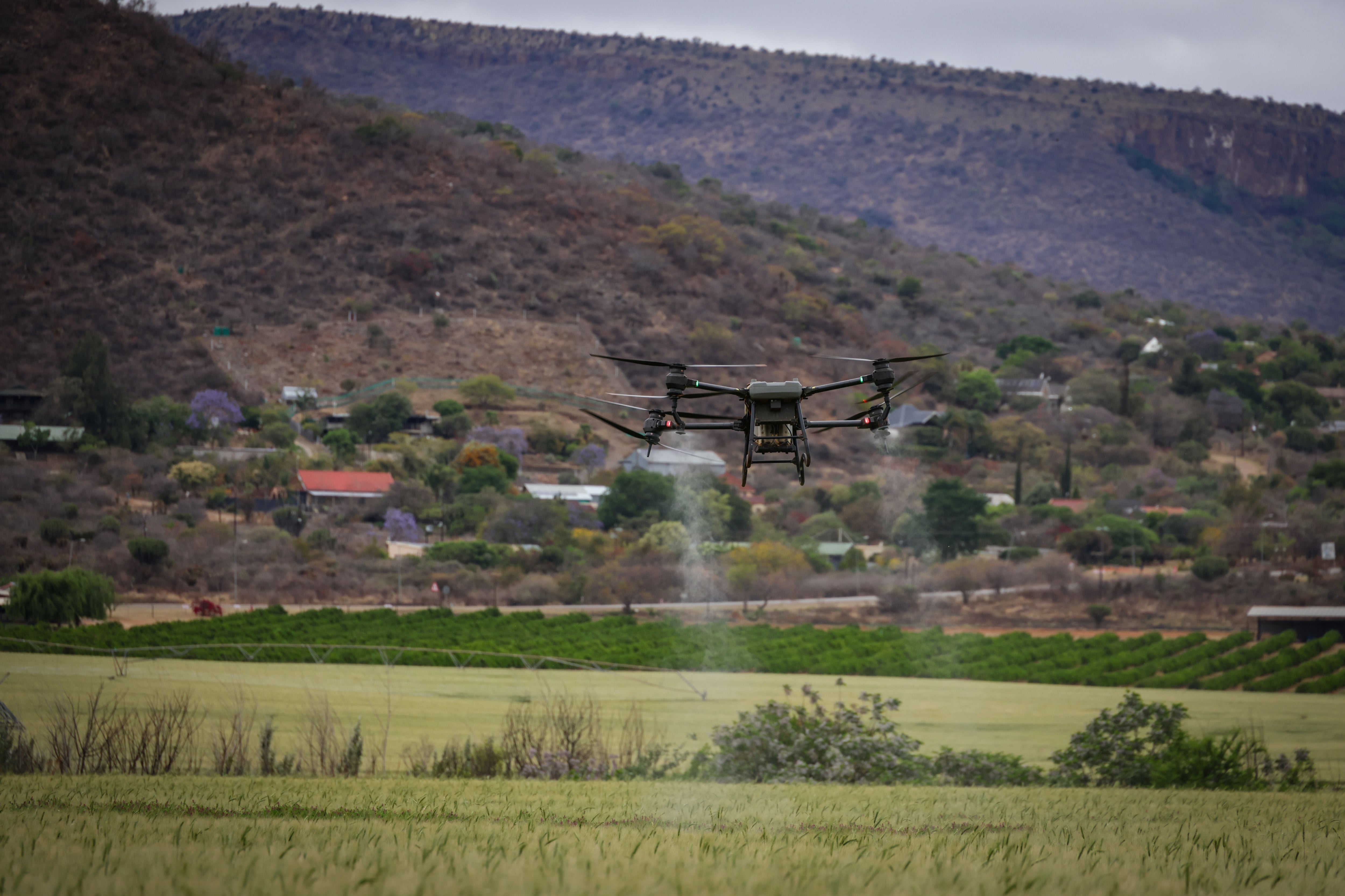 Del riesgo a la oportunidad: los negocios que ganan terreno en Perú por la adaptación al cambio climático. Foto: Pexels