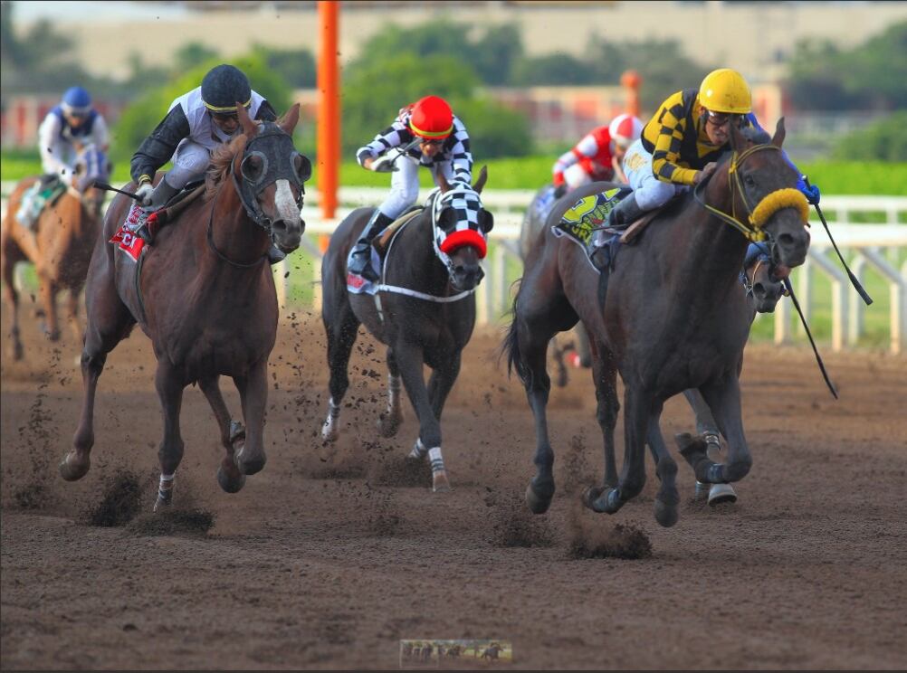 Jockey Club define visión sobre sus terrenos en medio de presión para el desarrollo inmobiliario en la zona. (Foto: Jockey Club).