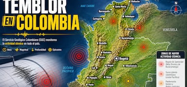 Noticias Sugeridas