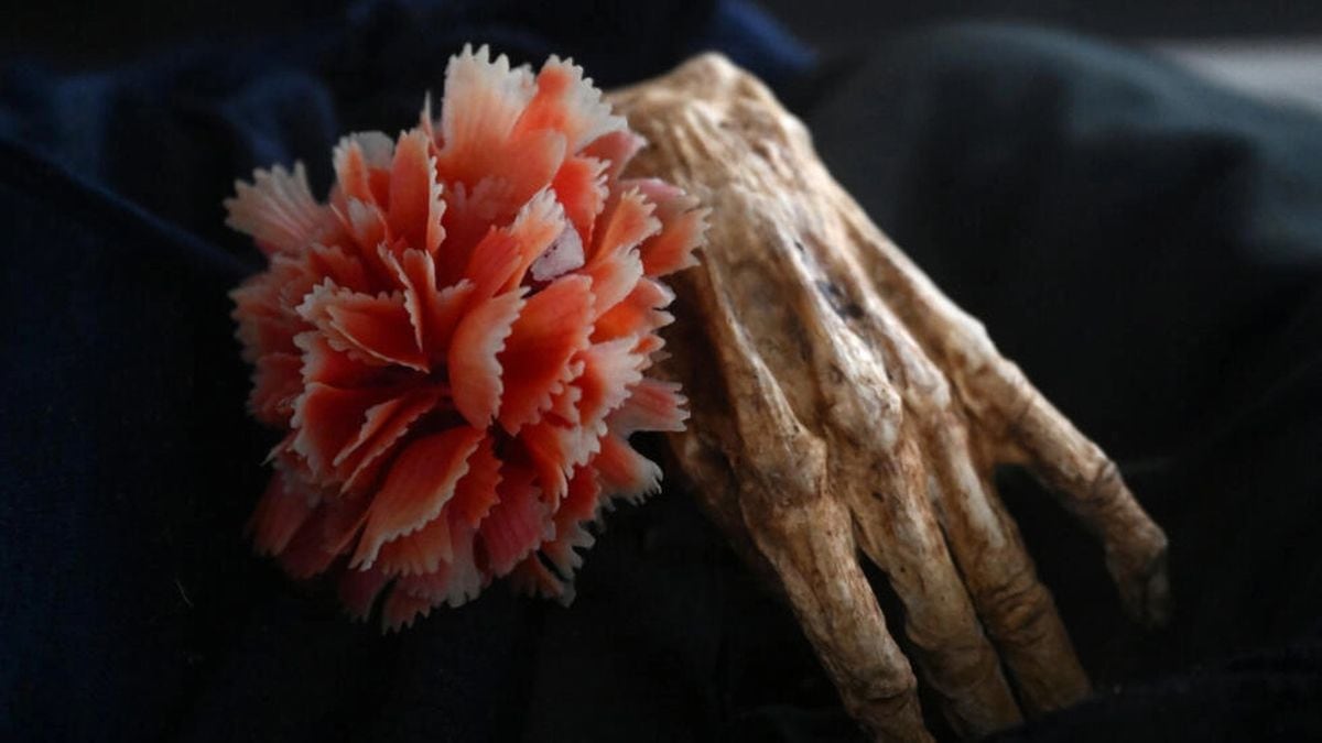 Restos de una fallecida en 1981 exhibidos en un museo del municipio colombiano de San Bernardo. Raúl Arboleda / AFP