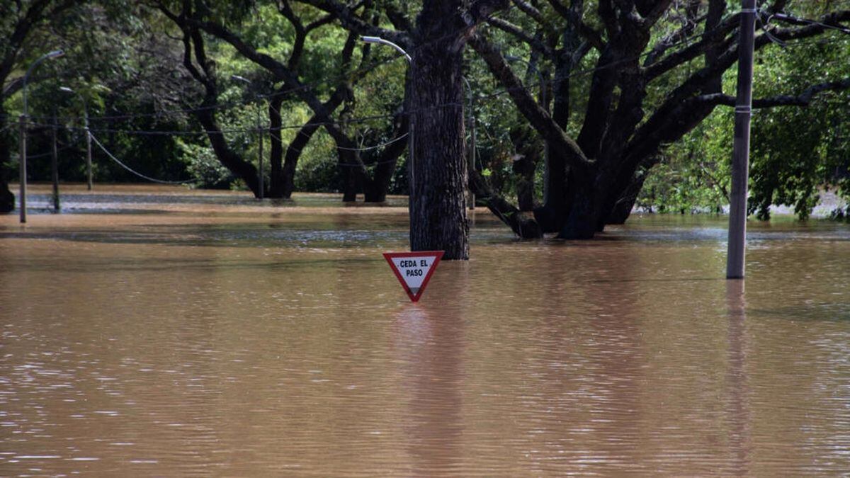 Esta foto difundida por la Intendencia de Salto muestra una inundación debido al desborde del río Uruguay tras fuertes lluvias en Salto, Uruguay. (Foto: AFP)