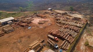 Compañías globales podrían perder US$ 53,000 millones por deforestación