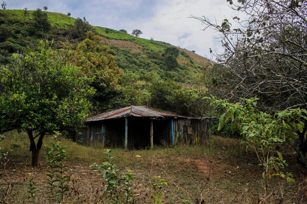 Una vivienda típica de las zonas rurales se muestra en el pueblo de Potrerillos, Concordia, Sinaloa, México, el 5 de febrero de 2026. Las autoridades mexicanas informaron el 6 de febrero que encontraron el cuerpo de una persona que podría ser uno de los diez empleados de una minera canadiense secuestrados hace dos semanas. El secuestro ocurrió el 23 de enero en el estado noroccidental de Sinaloa, azotado por una ola de violencia relacionada con rivalidades entre narcotraficantes. (Foto de Jesús Verdugo / AFP)