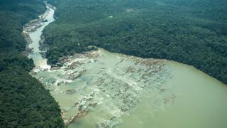 Deforestación en la Amazonía peruana se redujo 28.7% durante la cuarentena