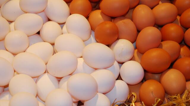 APA advierte que productores de huevo registran pérdidas por bajos márgenes de ganancia