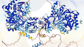 La IA predice la estructura de casi todas las proteínas conocidas