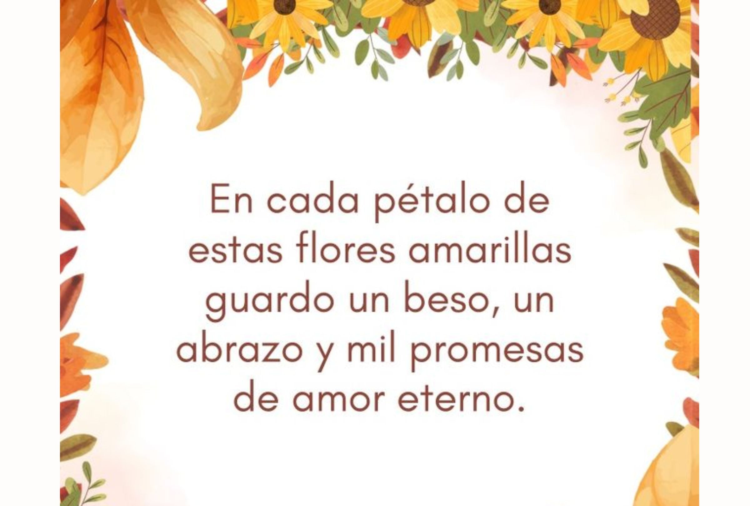 Este sábado 21 de marzo inicia la primavera en México y Estados Unidos, una fecha donde muchas personas regalarán flores amarillas a sus parejas (Foto: Canva.com)