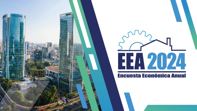 El periodo de referencia para la ejecución de la EEA será el ejercicio económico del año 2023. (Foto: INEI)