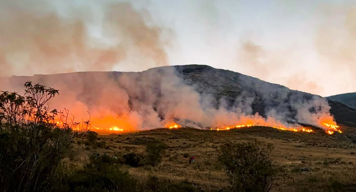 Incendio forestal en Pasco.