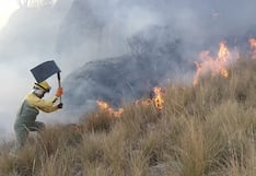 ¿Se puede declarar en estado de emergencia por incendios forestales?: esto dice el COEN