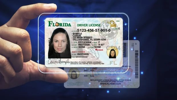 Así se ve la nueva licencia de conducir de Florida (Foto: FLHSMV)