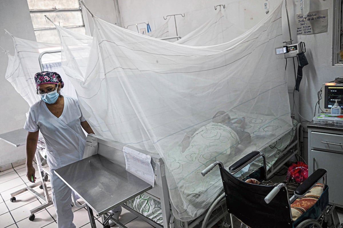 Dengue en Perú. (Foto: GEC)