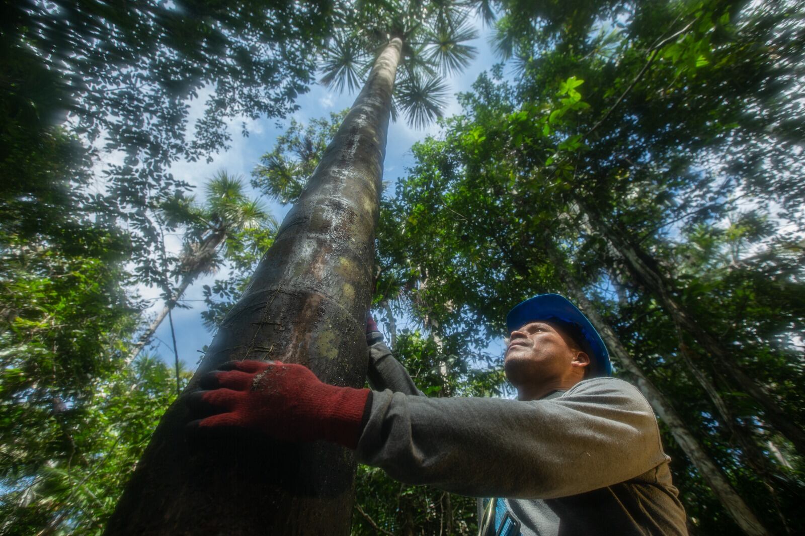 Las autoridades peruanas esperan impulsar el desarrollo social a la Amazonía peruana. Foto: GEC