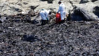 Esto se conoce sobre los daños provocados por derrame de petróleo en playas de Lima