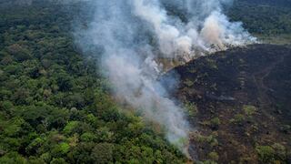 Amazonía brasileña registra en agosto mayores incendios en los últimos 12 años
