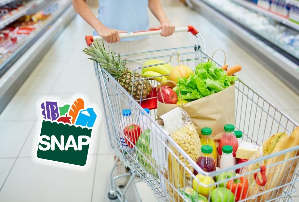 La nueva obligación podría obligar a los estados a reforzar sus sistemas de control, reordenar sus presupuestos o modificar la forma en que administran SNAP (Foto: Magnific)