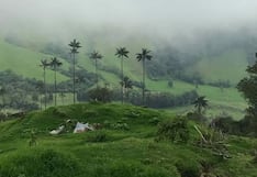 Más de 2.100 especies de plantas y animales están en peligro de extinción en Colombia