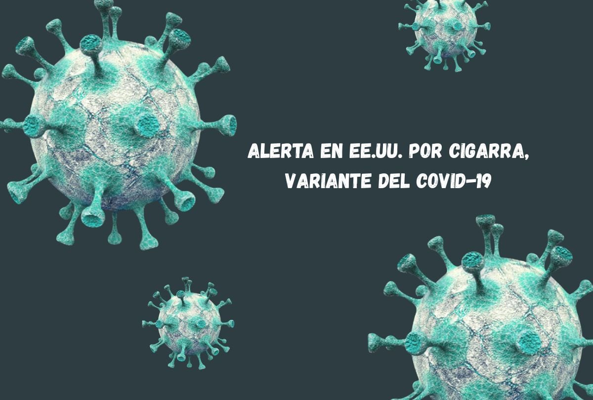 La variante Cigarra se expande en Estados Unidos (Foto referencial: Freepik)