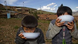 FAO pide evitar que crisis económica por pandemia sea una crisis de hambre en América Latina