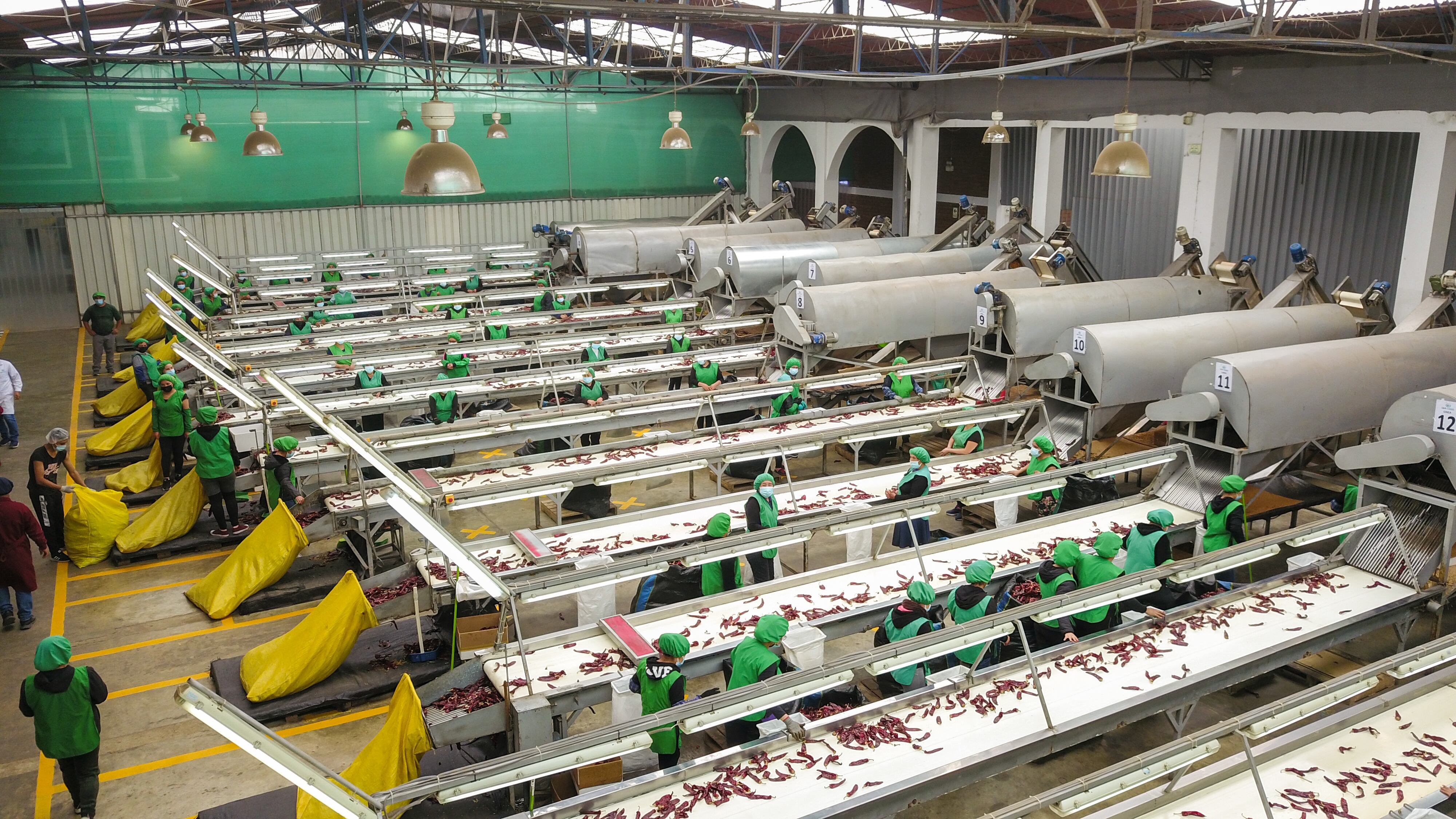 Brasil forma parte de la nueva etapa de expansión comercial de S&M Foods en la región.