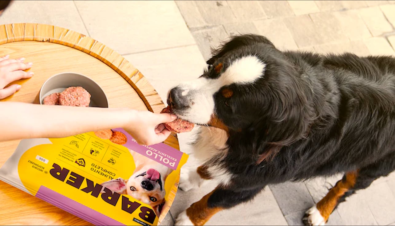 El portafolio del Grupo Albar se estructura actualmente en cuatro categorías: alimento congelado, snacks, suplementos e higiene, esta última incorporada recientemente.