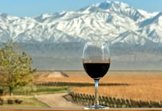 El secreto de los vinos de altura que hicieron de Salta, en Argentina, una leyenda