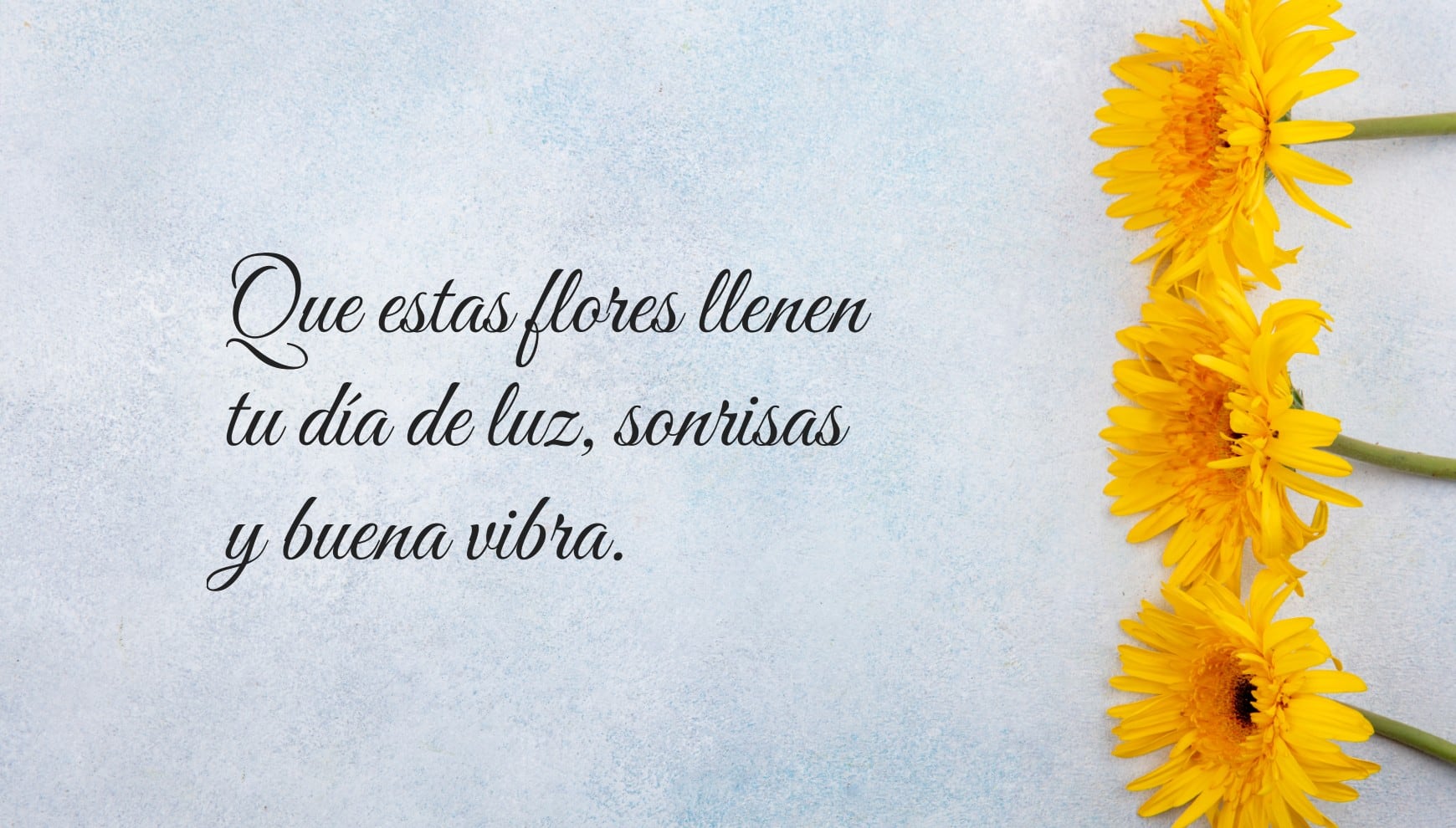 Sorprende a tus amigos este 21 de marzo con frases y flores amarillas. | Crédito: Gestión Mix / Freepik