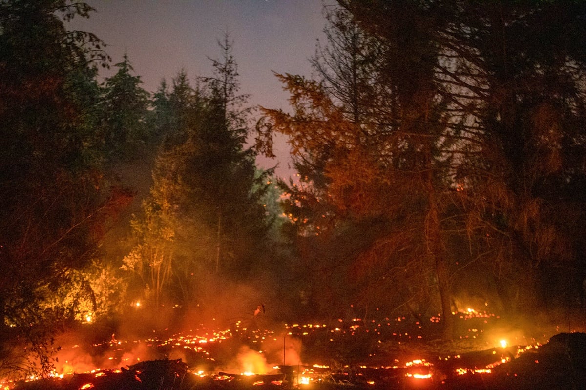 Los incendios forestales reaparecen en el sur argentino y ya han afectado miles de hectáreas, reavivando el debate sobre prevención y manejo ambiental. En 2025, un siniestro arrasó con más de 20,000 hectáreas. Foto: Martin LEVICOY / AFP