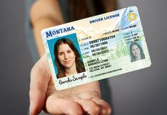 Cómo volar en Estados Unidos sin REAL ID ni pasaporte desde mayo de 2025