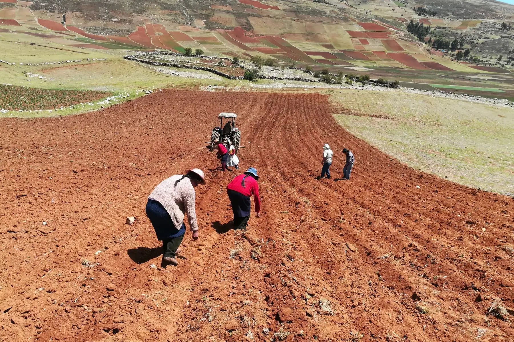 ¿Qué necesita el Perú para expandir su frontera agrícola y, a la vez, cuidar la sostenibilidad? (Foto: Andina)