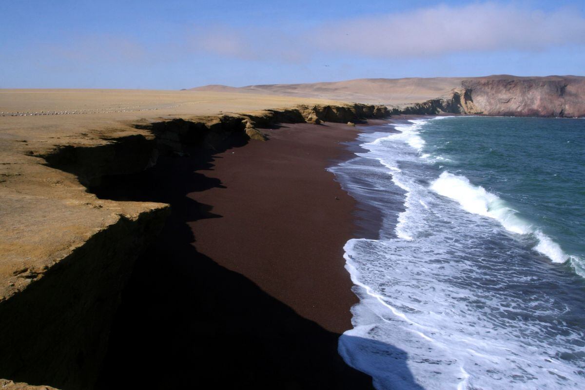 La Reserva Nacional de Paracas protege más de 335,000 hectáreas de mar y desierto costero, uno de los ecosistemas más singulares del país. Foto: RNP.