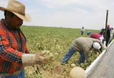 Arizona tendrá un nuevo salario mínimo para 2026: conoce a quiénes aplicará, desde cuándo y más detalles