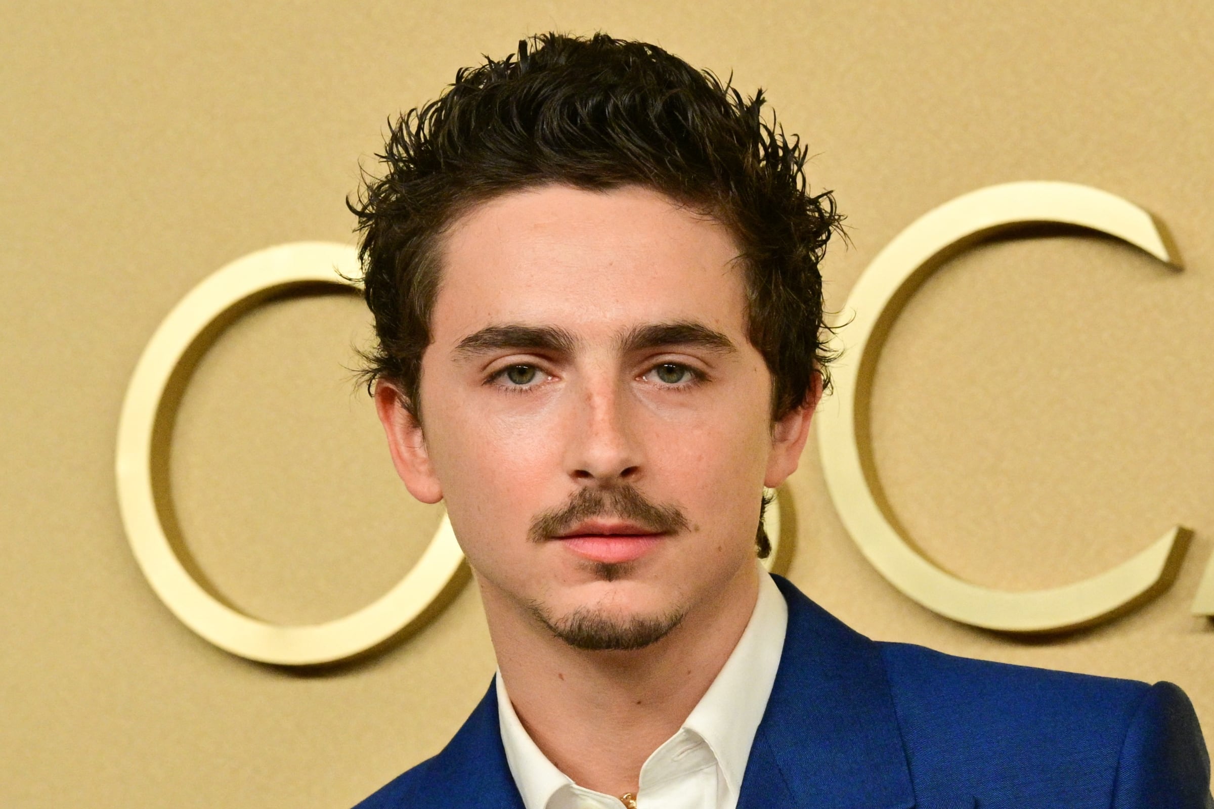 Timothée Chalamet es uno de los grandes candidatos a obtener una estatuilla de oro en la próxima gala de los Oscar. (Crédito: Frederic J. Brown / AFP)