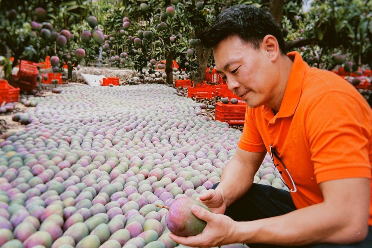 Jason Wang, vicepresidente de ventas de Best Fruits of Peru.
