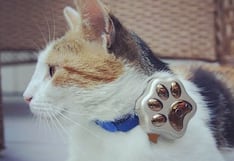 Mercado pet tech gana terreno: en qué dispositivos gastan los peruanos para sus mascotas