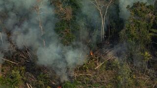 Incendios en la Amazonía continúan en niveles elevados