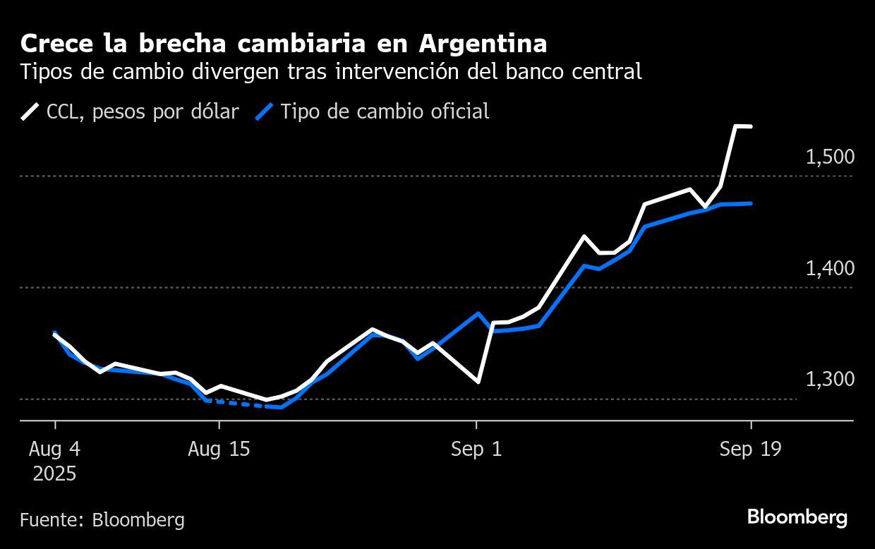Crece la brecha cambiaria en Argentina | Tipos de cambio divergen tras intervención del banco central