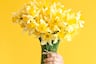 ¿Por qué el 21 de marzo se regalan flores amarillas?