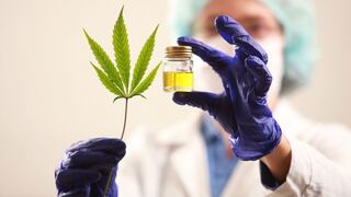 Cañaveral recurre a alianzas con clínicas para introducir cannabis medicinal