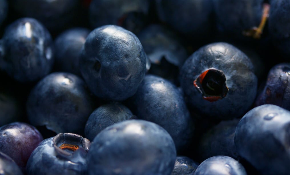 Nuevas tecnologías y un esfuerzo por la producción continua marcan el rumbo de una industria del arándano en transformación. (Foto: Pexels)