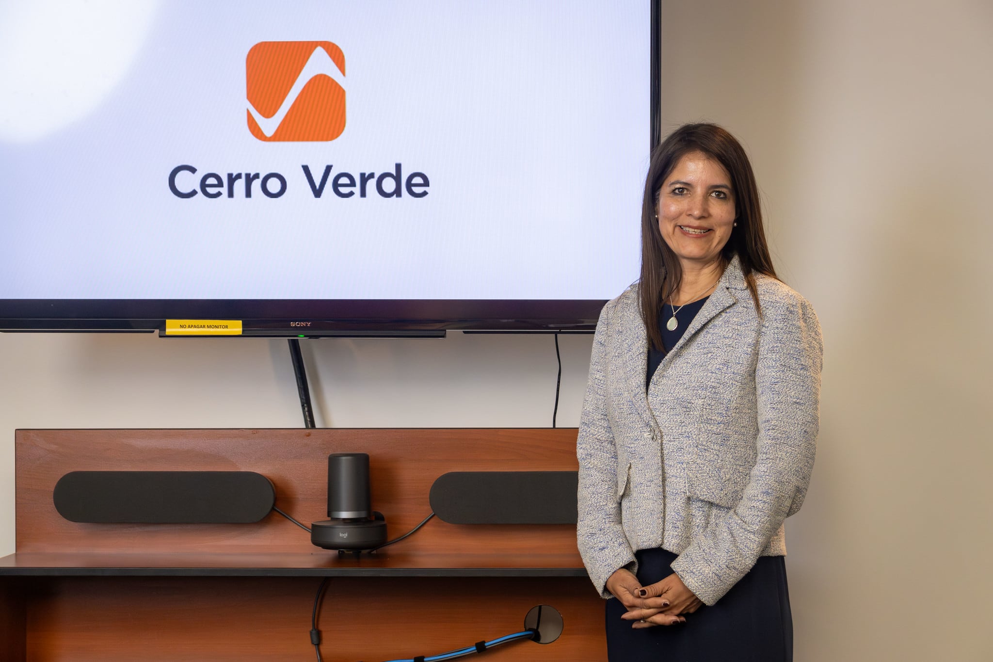 Julia Torreblanca, Vicepresidente de Asuntos Corporativos de Cerro Verde