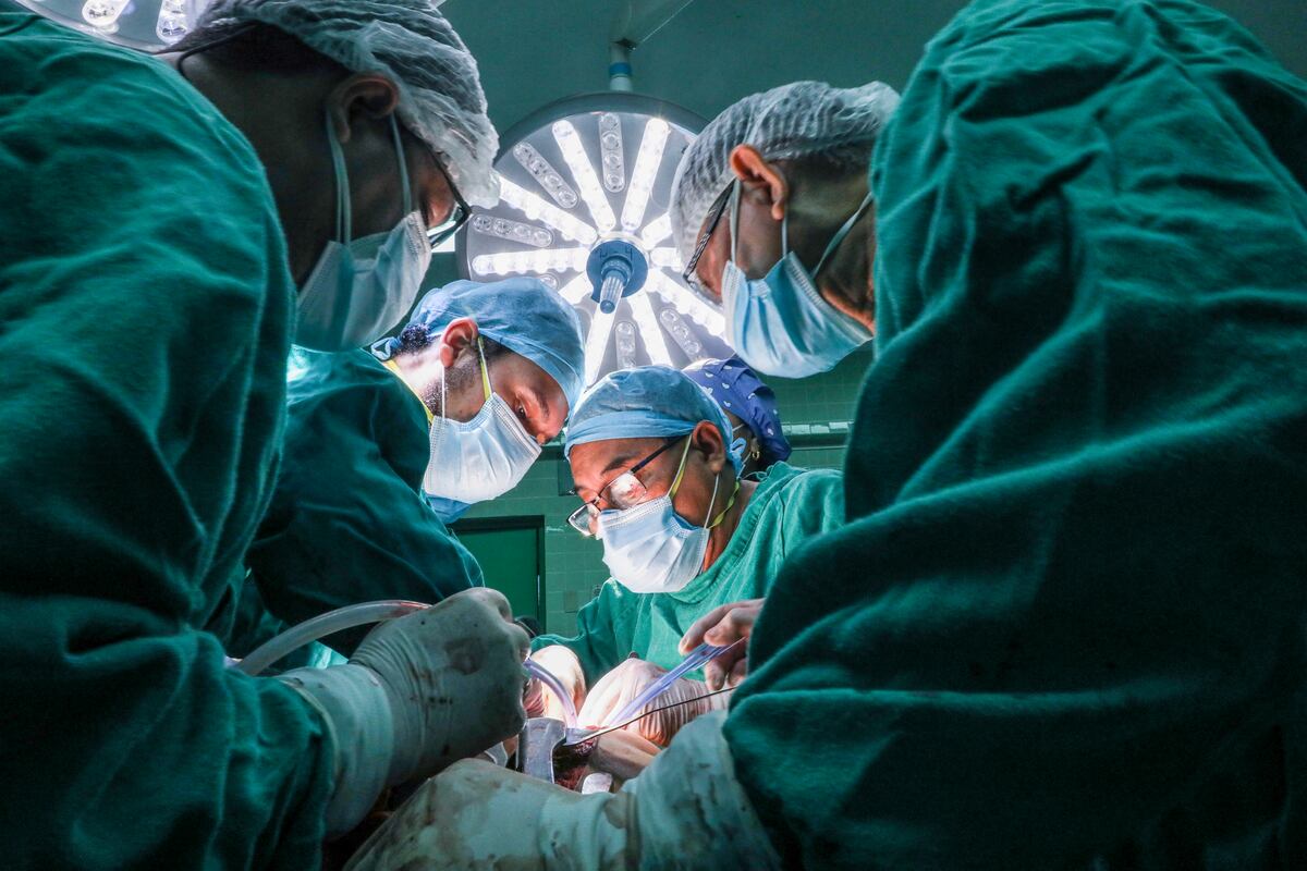 Riñón, hígado y córneas son lo que más requieren los pacientes que están en lista de espera. (Foto: Andina)