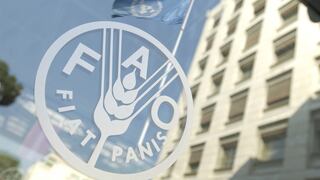 FAO: Precios mundiales de los alimentos tocan máximo de cinco años en diciembre