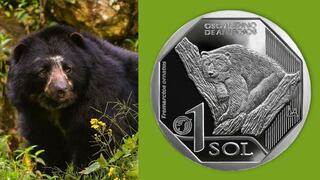 ¿Cómo lucen los animales silvestres en la colección de monedas del BCR?