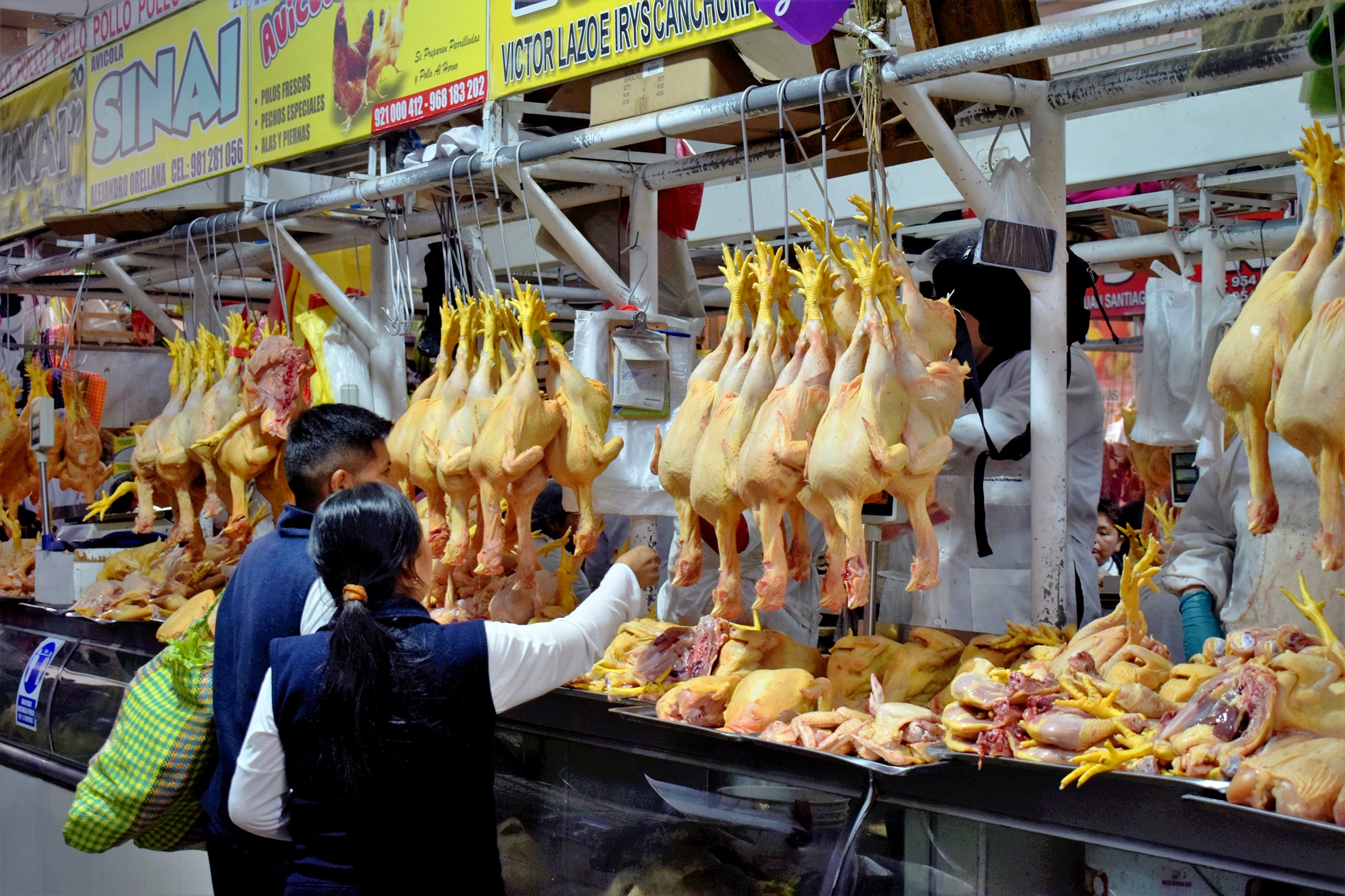 Precio del pollo retrocede por ahora, pero podría volver al alza, según expertos